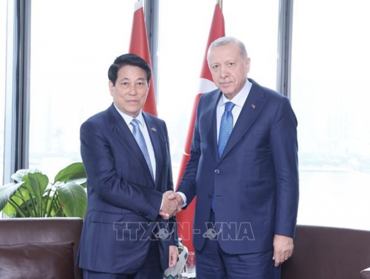 Türkiye regards Vietnam as key Asian partner: President Erdoğan